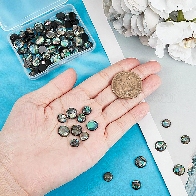 Paua Shell Cabochons&nbsp;SHEL-BC0001-018-1
