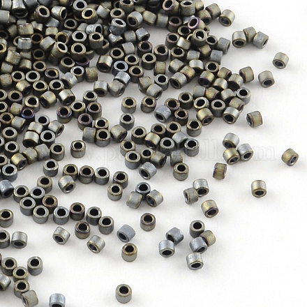 MIYUKI Delica Beads X-SEED-R015-307-1