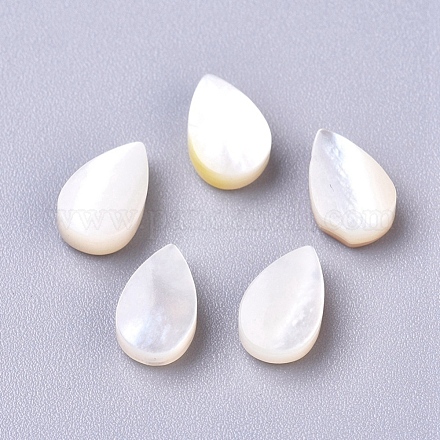Natural Sea Shell Beads X-SSHEL-R038-20-1