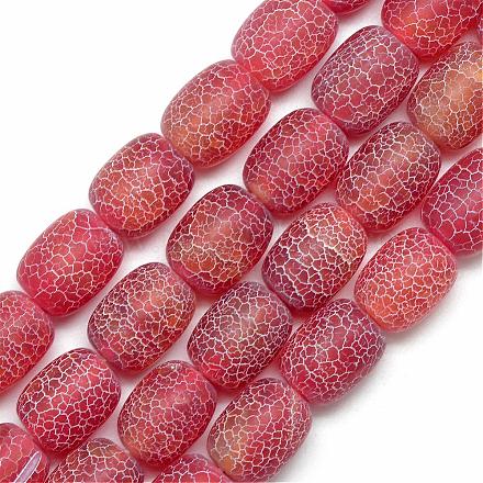 Natural Weathered Agate Beads Strands G-S229-02A-1