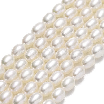 Natural Cultured Freshwater Pearl Beads Strands PEAR-J006-20A-01-1