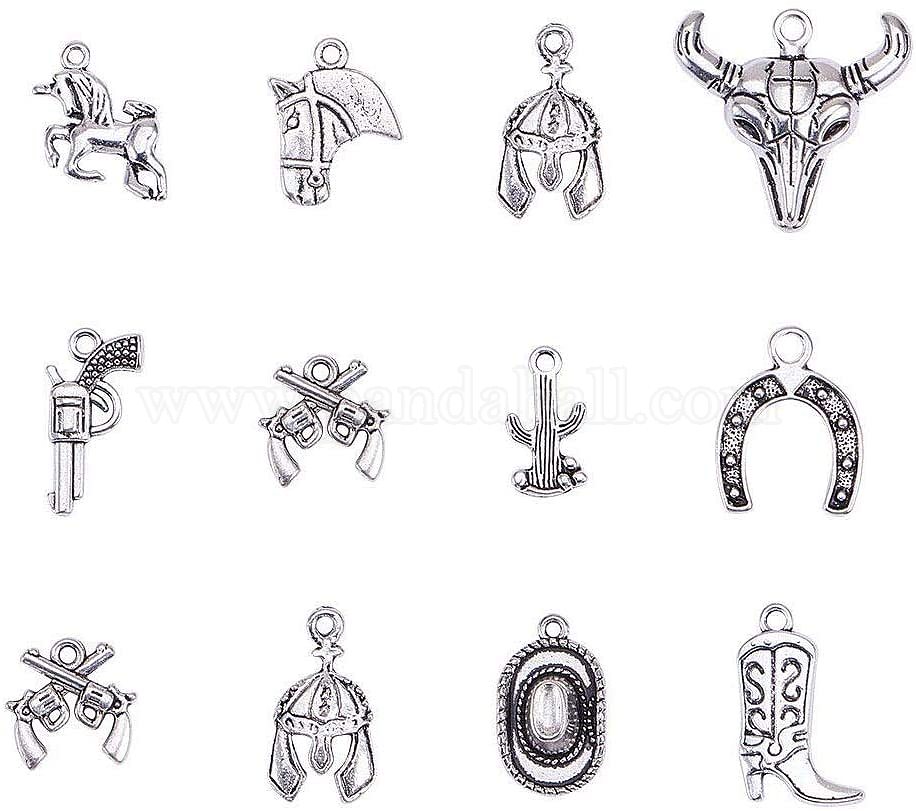 Shop PandaHall 20pcs 10 Style Antique Silver Western Charms Tibetan
