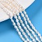 Natural Cultured Freshwater Pearl Beads Strands, Baroque Keshi Pearl Beads, Two Sides Polished, Creamy White, 4.5~7x3~4x3~4mm, Hole: 0.5mm, about 62~71pcs/strand, 13.90~14.29''(35.3~36.3cm).