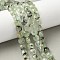 Natural Prehnite Beads Strands, Faceted Square Cut, Flat Round, 8~8.5x4.5~6.8mm, Hole: 0.8~1.2mm, about 48~49pcs/strand, 15.08''~15.35''(38.3~39cm)