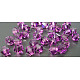 Perles de cristal autrichien 5301_6mm204-3