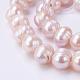 Natural Cultured Freshwater Pearl Beads Strands PEAR-R015-39-3