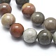Chapelets de perles en jaspe avec images naturelles G-I254-05D-3
