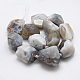 Natural Botswana Agate Beads Strands G-G215-01-2