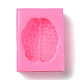 DIYハロウィーン脳シリコーンフォンダン型  DIYケーキデコレーション用  UVレジン＆エポキシ樹脂ジュエリー作り  ショッキングピンク  62x46x27mm  内径：45x38mm X-DIY-F072-05-2