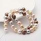 Shell Pearl Colorful Round Beads Strands BSHE-S605-10mm-M-2