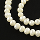 Rondelle Natural Pearl Beads Strands PEAR-R012-38-1