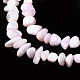 Coquille de trochid naturel / brins de perles de coquille de trocas SSHEL-N034-78-C02-3