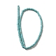 Brins de perles synthétiques teintes en turquoise G-E594-20A-2