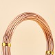 DIY Wire Wrapped Jewelry Kits DIY-BC0011-81C-03-6