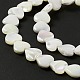 Fili di perle di conchiglia trochid naturale / trochus SHEL-F003-08A-6