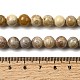 Natürlichen fossilen Korallenperlen Stränge&nbsp;G-A274-B01-8mm-5