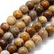 Natural Fossil Coral Beads Strands G-G763-12-6mm-5