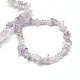 Natural Amethyst Stone Bead Strands G-R192-A03-2