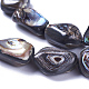 Brins de perles en coquille d'ormeau naturel / coquille de paua SSHEL-F303-08A-3