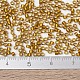 MIYUKI Delica Beads SEED-JP0008-DB1681-3