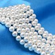 Chapelets de perles ronde de coquillage de couleur AB BSHE-L011-10mm-C001-1
