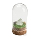 Decorazione dell'esposizione di pepite di cristallo di quarzo naturale con copertura a cloche a cupola di vetro DJEW-B009-03B-1