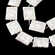 Placage de brins de perles de coquille d'eau douce naturelles SHEL-N026-222-3