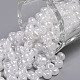 (Repacking Service Available) Glass Seed Beads SEED-C020-4mm-141-1