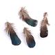 Chicken Feather Costume Accessories FIND-Q046-09-2