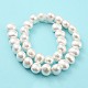 Brins de perles de coquille de rides naturelles SHEL-F008-02-3
