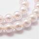 Rainbow Plated Shell Pearl Bead Strands BSHE-L025-02-8mm-3