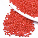 Baking Paint Glass Seed Beads X-SEED-S042-05A-05-1