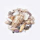 Natural Sea Shell Beads X-SSHEL-Q300-077-B-4