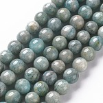 Natur Amazonit Perlen Stränge, Runde, 8~9 mm, Bohrung: 1 mm, ca. 45~48 Stk. / Strang, 15.7 Zoll