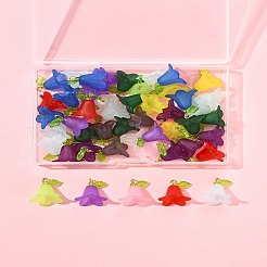 50 Stück transparente Acryl-Anhänger&nbsp;PALLOY-FS00043-05