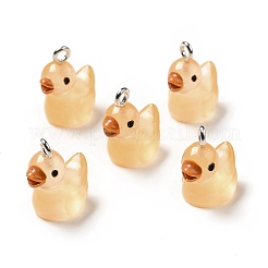 Pendentifs lumineux en résine translucide&nbsp;RESI-A017-06