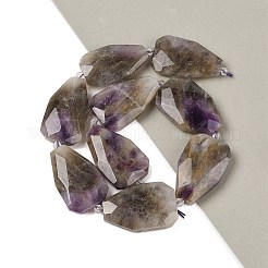 Natürlichen Amethyst Perlen Stränge&nbsp;G-P548-B08-01