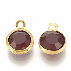 Glas Anhänger / charms&nbsp;X-GLAA-S171-001