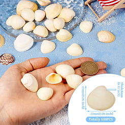 Coquille naturelle&nbsp;FIND-TAC0026-10B