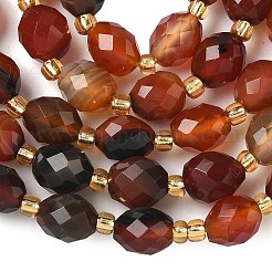Chapelets de perles en cornaline naturelle&nbsp;G-F809-A52-01