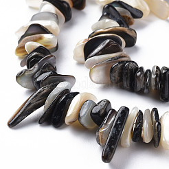 Natürliche schwarze Lippenschalenperlenstränge&nbsp;SSHEL-N304-102