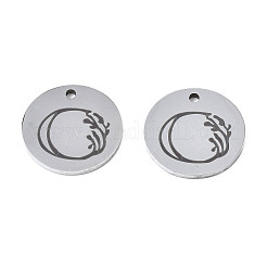 Breloques en acier inoxydable 304 anti-ternissement&nbsp;LS-STAS-T059-26P-O