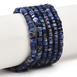Chapelets de perles en sodalite naturelle&nbsp;G-G345-C31-2x4mm