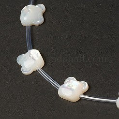 Guscio bianco naturale madreperla perle di conchiglia&nbsp;BSHE-B005-08
