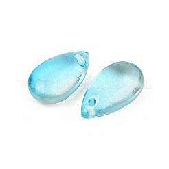 Transparente Glas Anhänger / charms&nbsp;GLAA-O017-01I