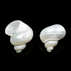 Spirale Shell naturale perline&nbsp;SSHEL-N034-126