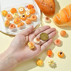 24pcs 12 styles de pendentifs en résine&nbsp;RESI-CJ0003-99