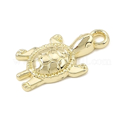 Aluminium Anhänger & Charms&nbsp;AL-CBAFCDA-10G