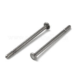 Zubehörse zu Titan-Ohrsteckern&nbsp;FIND-R096-02A-P