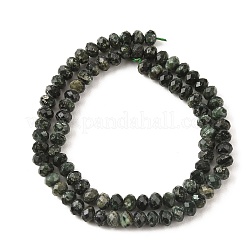 Naturperlen Stränge SERAPHINITE&nbsp;G-K376-E06-4x6mm